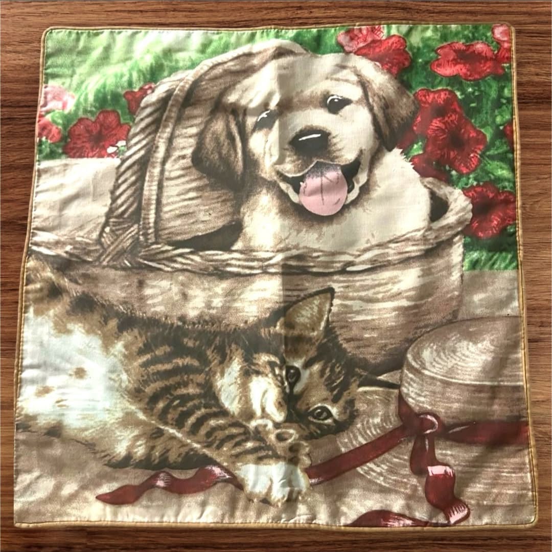 Paw-Some Covers