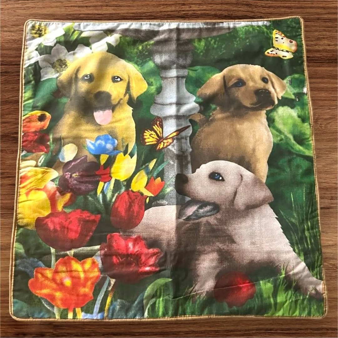 Paw-Some Covers